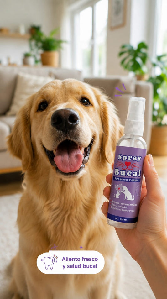 OralPet Care